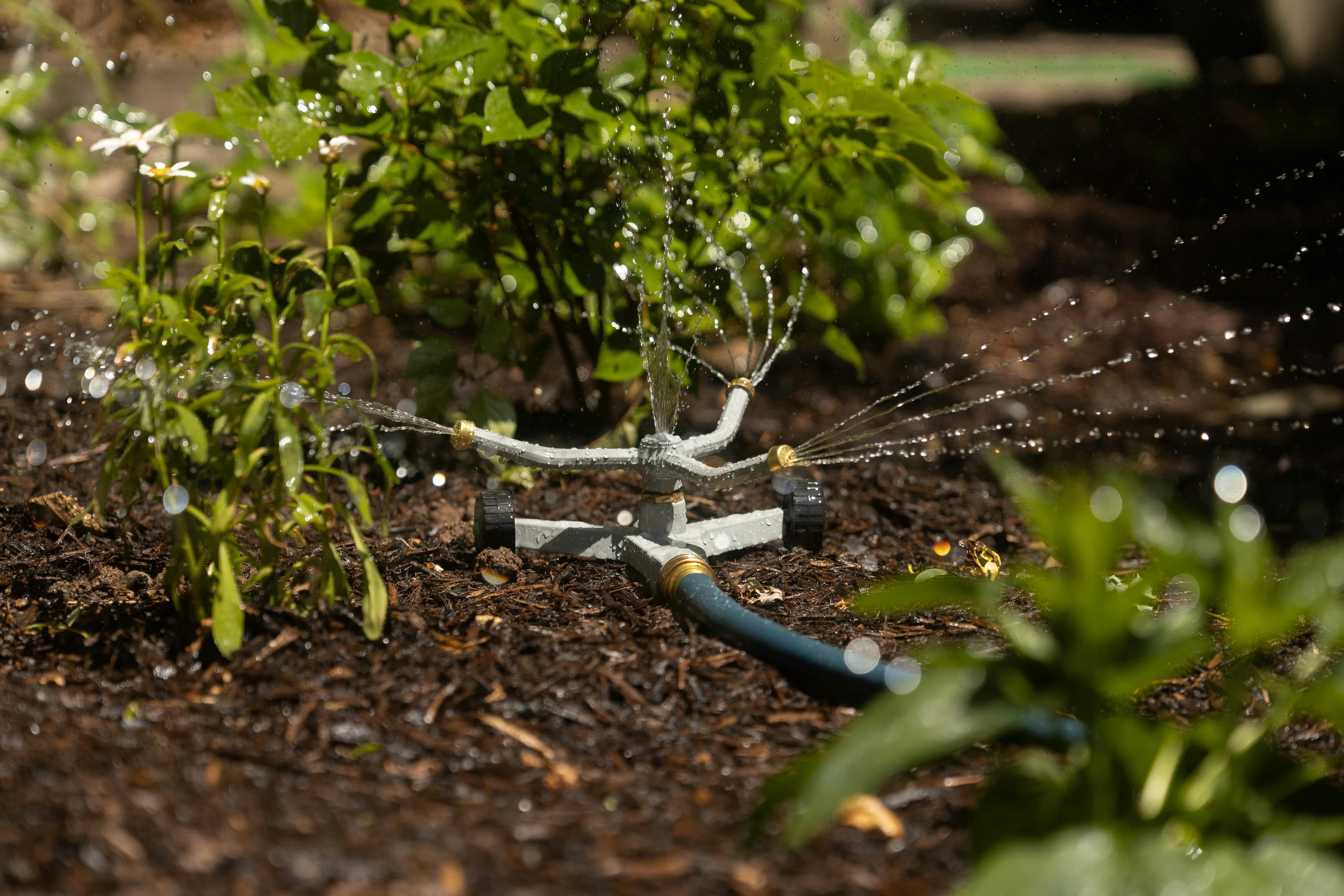Premium Lawn Installation
