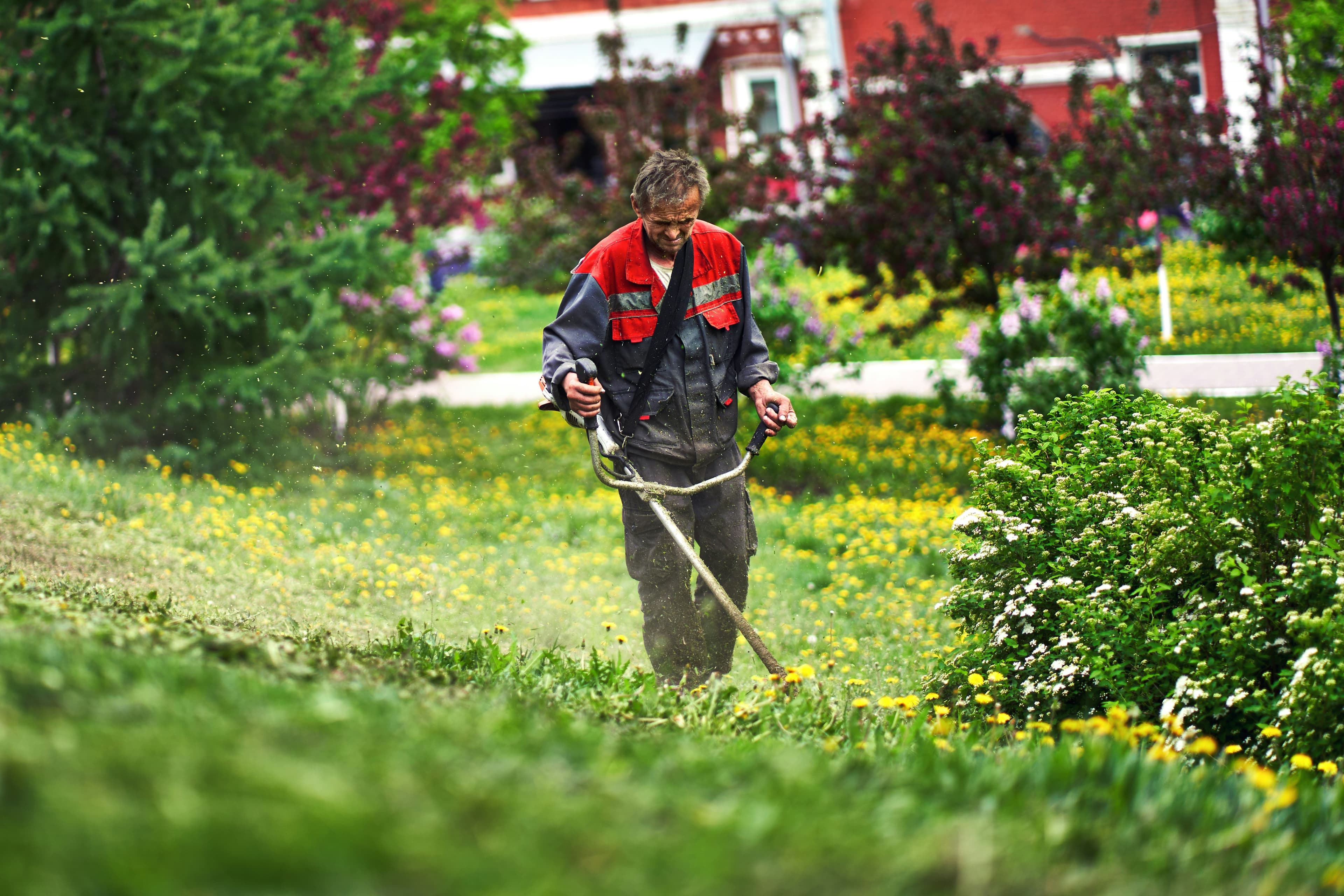 Complete Lawn & Irrigation Packages